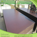 Madera contrachapada de construcción negra y marrón del color 16m m de Linyi Qimeng